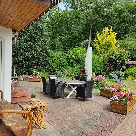 Grosszuegige Ferienwohnung Am Waldesrand Im Seenland Lauta Exteriör bild