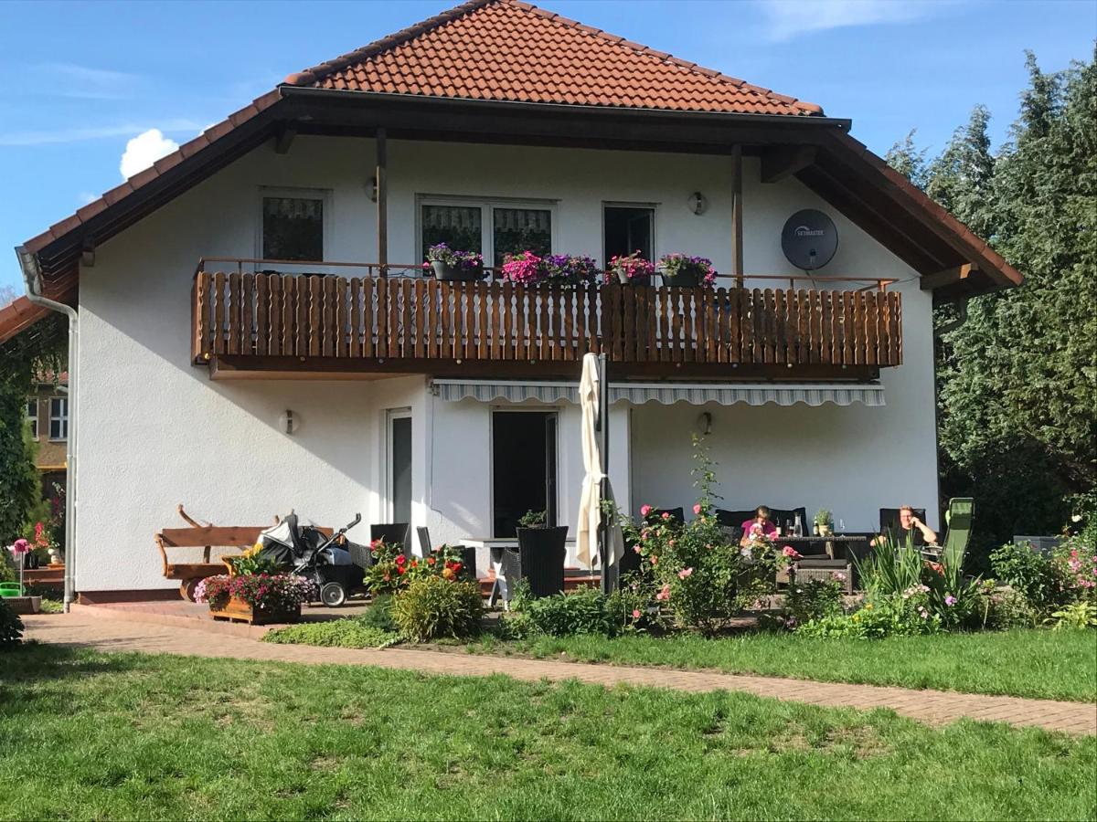 Grosszuegige Ferienwohnung Am Waldesrand Im Seenland Lauta Exteriör bild