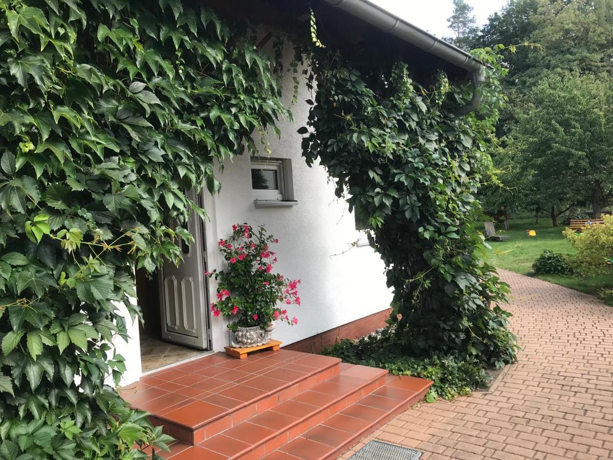 Grosszuegige Ferienwohnung Am Waldesrand Im Seenland Lauta Exteriör bild