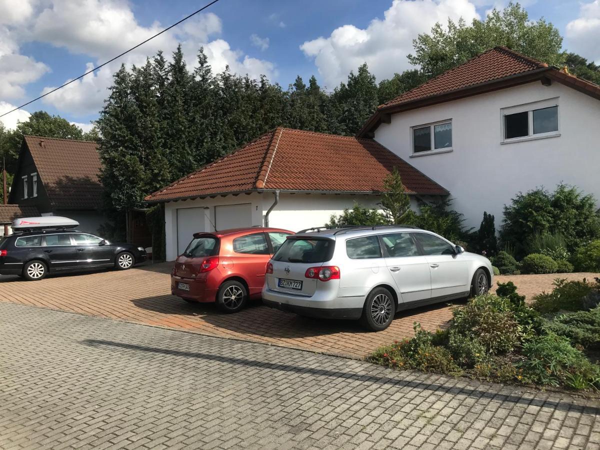 Grosszuegige Ferienwohnung Am Waldesrand Im Seenland Lauta Exteriör bild