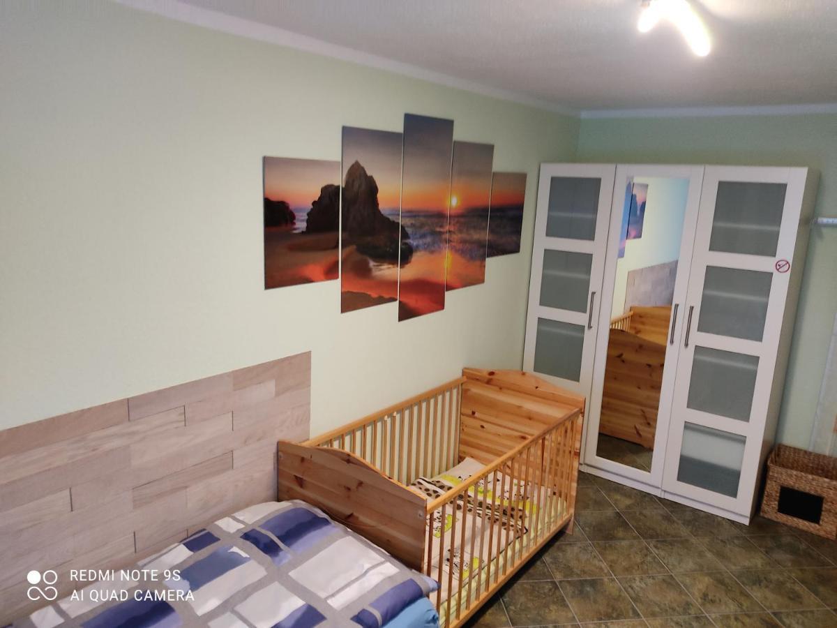Grosszuegige Ferienwohnung Am Waldesrand Im Seenland Lauta Exteriör bild