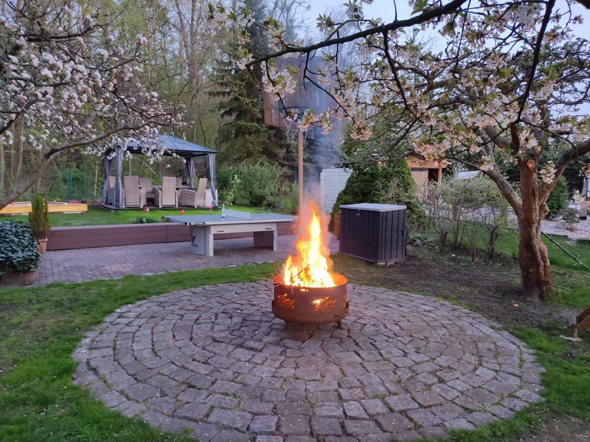 Grosszuegige Ferienwohnung Am Waldesrand Im Seenland Lauta Exteriör bild